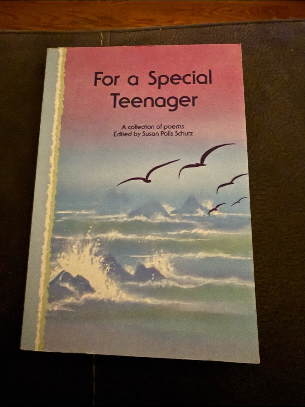 For a Special Teenager - Poetry Collection (Pink & Blue Cover)